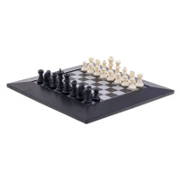 Magnetický šach