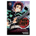 Viz Media Demon Slayer: Kimetsu no Yaiba 10