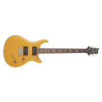 PRS SE CE24 Standard Satin MG