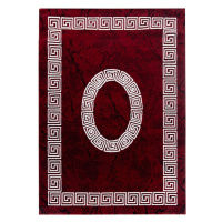 Kusový koberec Plus 8009 red - 80x150 cm Ayyildiz koberce