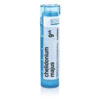 CHELIDONIUM MAJUS CH9 granule 4 g