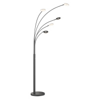 Čierna LED stmievateľná stojacia lampa (výška 225 cm) Dent – ​​Fischer & Honsel