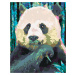 Maľovanie podľa čísel - FAREBNÁ PANDA Rámovanie: vypnuté plátno na rám, Rozmer: 40x50 cm