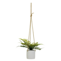 Umelá rastlina (výška 24 cm) – Casa Selección