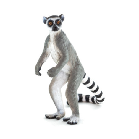 Mojo Lemur kata