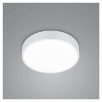 LED stropné svietidlo Waco, CCT, Ø 31 cm, matná biela
