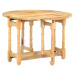 Rozkladací jedálenský stôl mangovníkové drevo Dekorhome Biela,Rozkladací jedálenský stôl mangovn