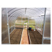 Zahradní skleník Gardentec CLASSIC T 2 x 3 m, 4 mm GU100000572