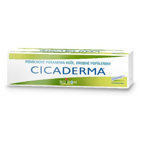 BOIRON Cicaderma dermálna masť 30 g