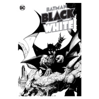 DC Comics Batman Black and White
