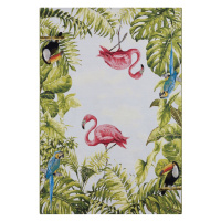 Kusový koberec Flair 105616 Tropical Birds Multicolored – na ven i na doma - 120x180 cm Hanse Ho