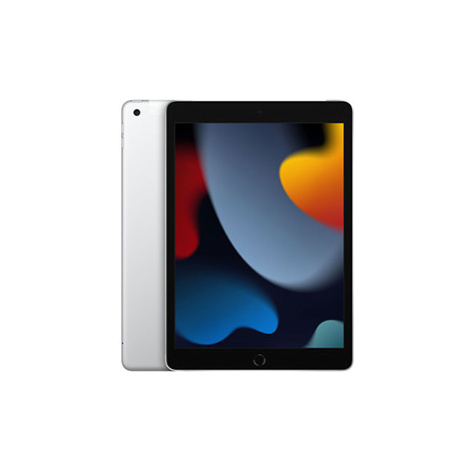 iPad Wi-Fi + Cellular 256GB Silver (2021)