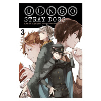 Yen Press Bungo Stray Dogs 3: The Untold Origins of the Detective Agency (Light novel)