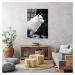 Sklenený obraz 70x100 cm White Wolf - Wallity