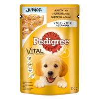 Mars PEDIGREE kapsička dog JUNIOR s kuracím mäsom & ryžou v želé 24 x 100 g