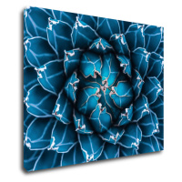 Impresi Obraz Modrý kvet - 90 x 70 cm