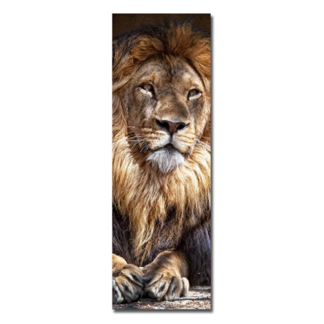 Obraz KING 30x90 cm hnedý