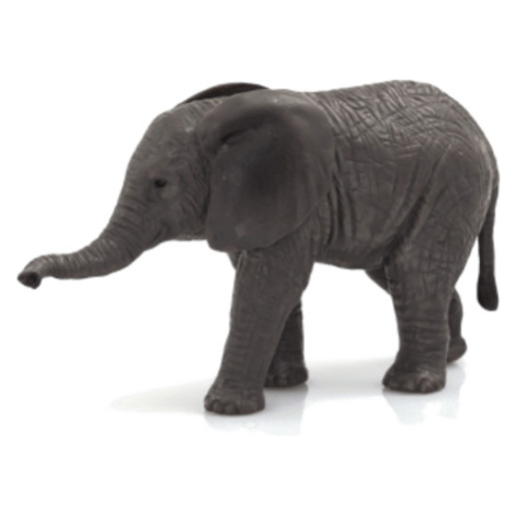 Mojo Slon africký sloník