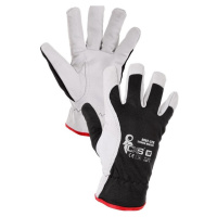 Zimné kombinované rukavice CXS Technik Winter