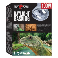 Žiarovka Repti Planet Daylight Basking Spot 100W