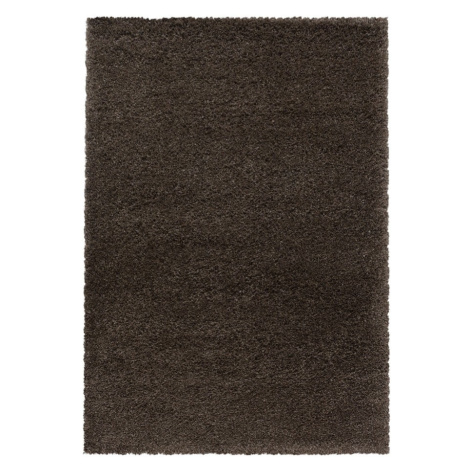 Tmavohnedý koberec 160x230 cm Fluffy – Ayyildiz Carpets