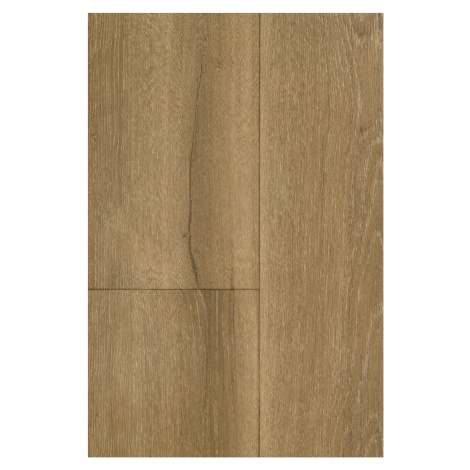 PVC ICONIK 240 Mill Oak Honey 200 cm