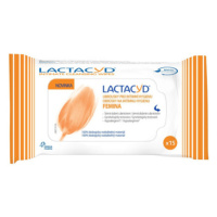 Lactacyd Femina vlhčené obrúsky 15 ks