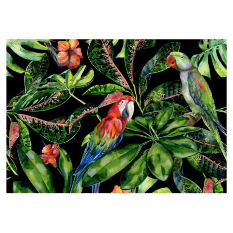 Dekoria Obraz na plátne Tropical Birds, 100 x 70 cm
