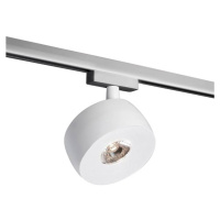 LED track spot Vibo Volare 927 biely/chróm 35°