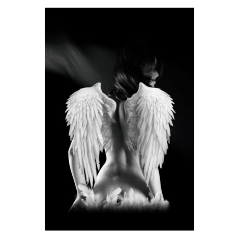 Sconto Obraz ANGEL 80x120 cm, čiernobiela Houseland