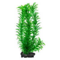 Dekorácia Tetra Rastlina Green Cabomba L 30cm