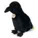Plyšový vrana čierna 25 cm ECO-FRIENDLY