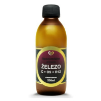 ZDRAVÝ SVET Lipozomálne železo + C + B9 + B12 200 ml