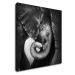Impresi Obraz Slon čiernobiely - 90 x 90 cm