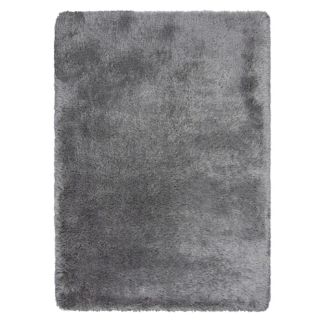 Sivý koberec 200x290 cm – Flair Rugs