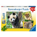 Ravensburger Puzzle Panda, tiger a lev 3 x 49 dielikov