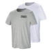 PARKSIDE® Pánske tričko, 2 kusy (XXL (60/62), biela/sivá)
