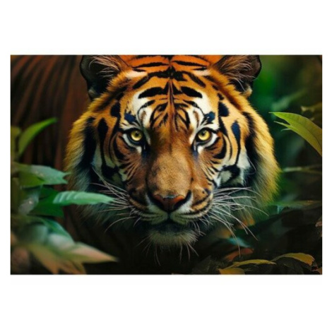 Trefl Puzzle Premium Plus Divoký Tiger, 1000 dielikov