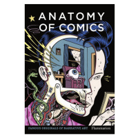 Flammarion Anatomy of Comics: Famous Originals of Narrative Art