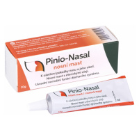 ROSEN PHARMA Pinio Nasal Nosová masť 10 g