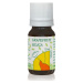 HANUS Grapefruitová silica 10 ml