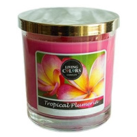 CANDLE LITE Living Colors TROPICAL PLUMERIA 141 g