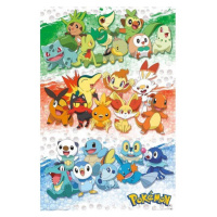 Plagát Pokemon - First Partners (90)