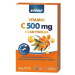 VITAR VITAMÍN C 500 mg S RAKYTNÍKOM, 60 cps
