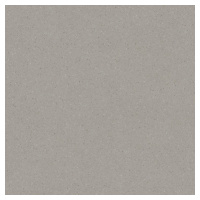 Dlažba Rako Compila taupe 60x60 cm mat DAF62867.1