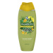 PALMOLIVE Forest edition Lucky Bamboo sprchový gél 500ml