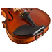 Eastman Albert Nebel Series+ Violin 4/4 (VL601G+)