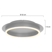 Stropné svietidlo Ringlux LED, oceľová farba, Ø 32 cm, kov