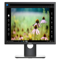 Dell Professional P1917S monitor 19