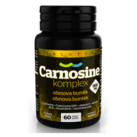 SALUTEM Carnosine komplex 900 mg 60 tabliet